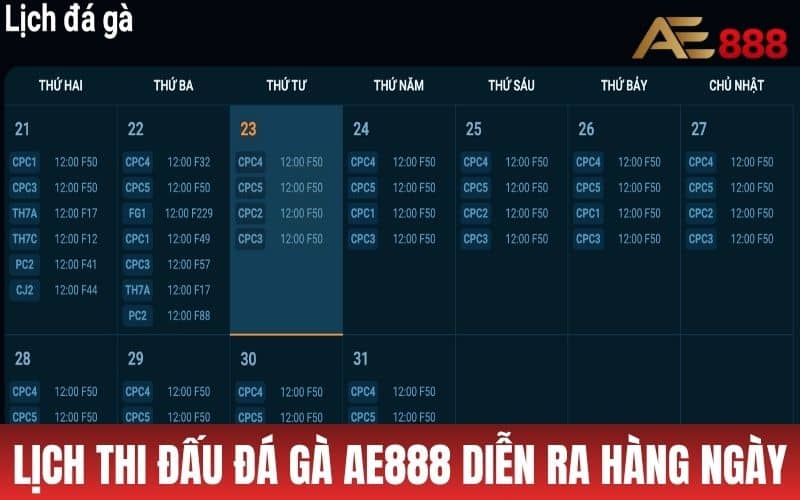 Lịch thi đấu tại đá gà AE888 được diễn ra liên tục hàng ngày