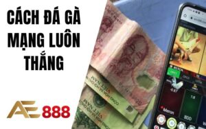 Cách Đá Gà Mạng