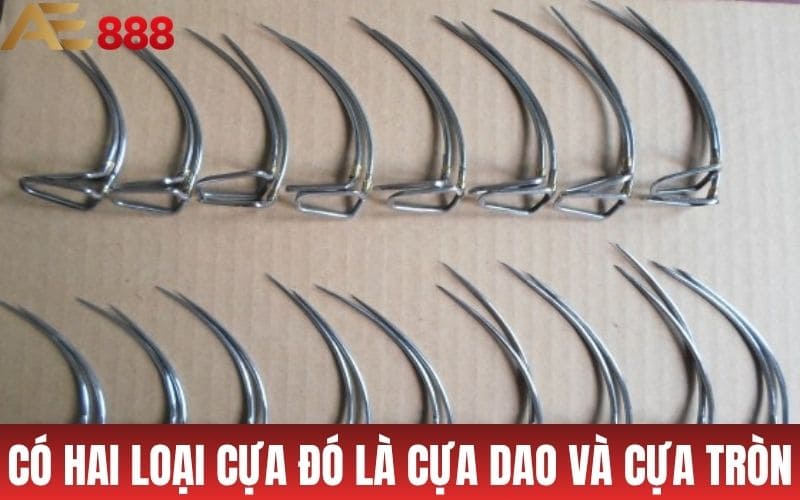 Có hai loại cựa đó là cựa dao và cựa tròn