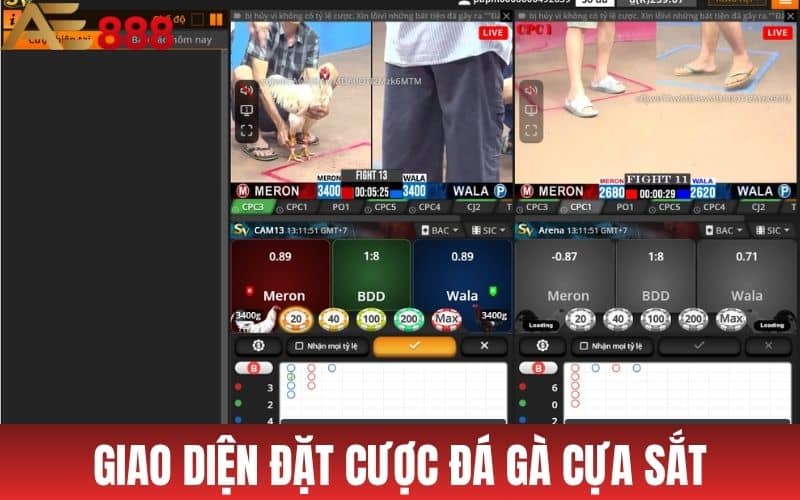 Giao diện màn hình đặt cược đá gà cựa sắt AE888