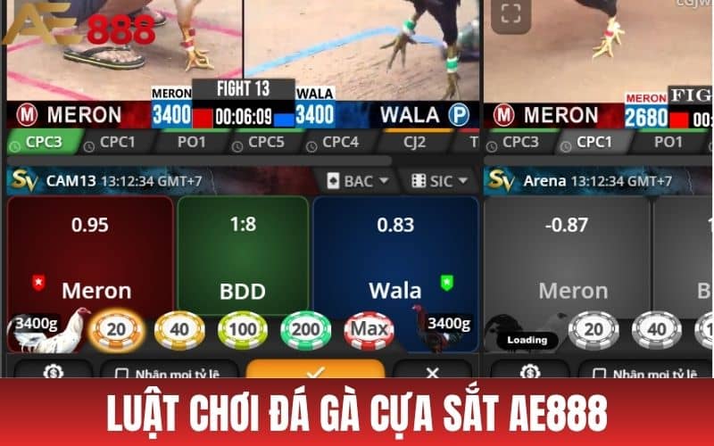 Luật chơi đá gà cựa sắt AE888