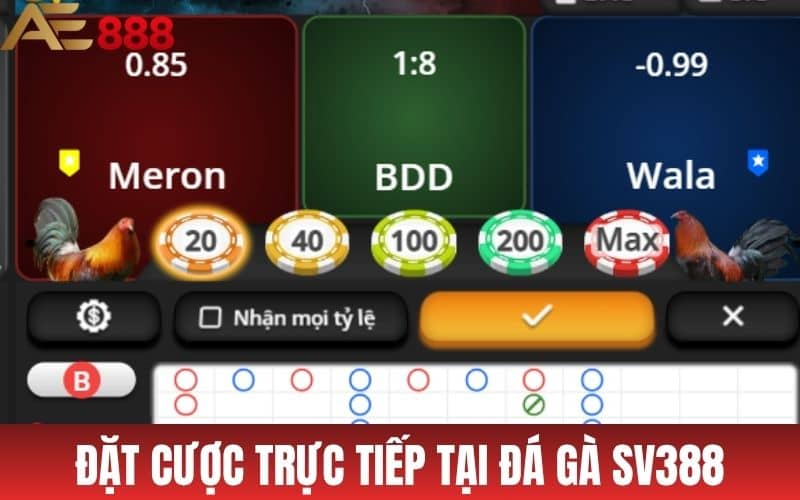 Người chơi có thể đặt cược tại đá gà SV388