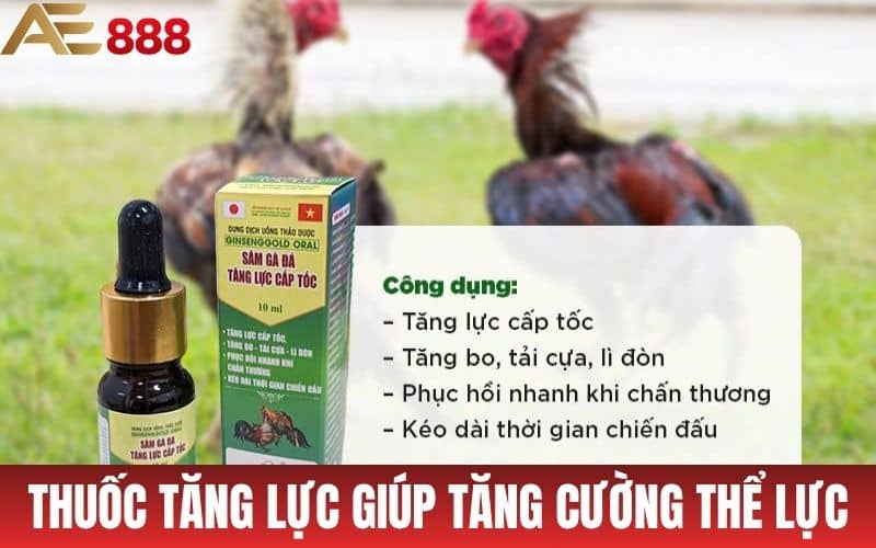 Thuốc tăng lực tăng cường sức khỏe cho gà đá